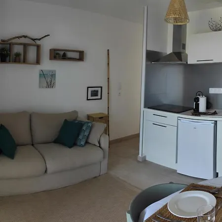 Appartement T3 Face A La Mer Dans Residence Neuve Avec Piscine Linguizzetta